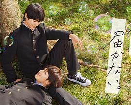 电商店铺seo优化